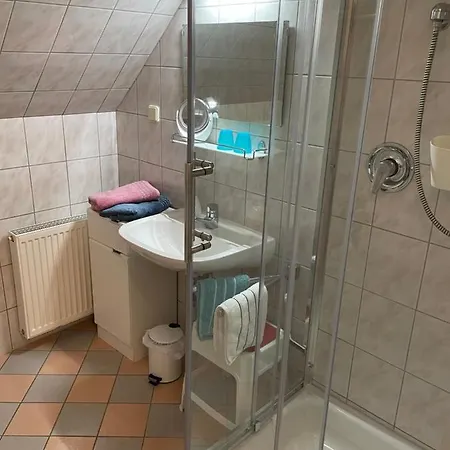 Rasinger Apartment *